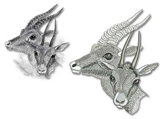 Digitizing For Embroidery